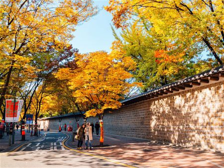 HÀN QUỐC MÙA LÁ ĐỎ: SEOUL - NAMI - EVERLAND